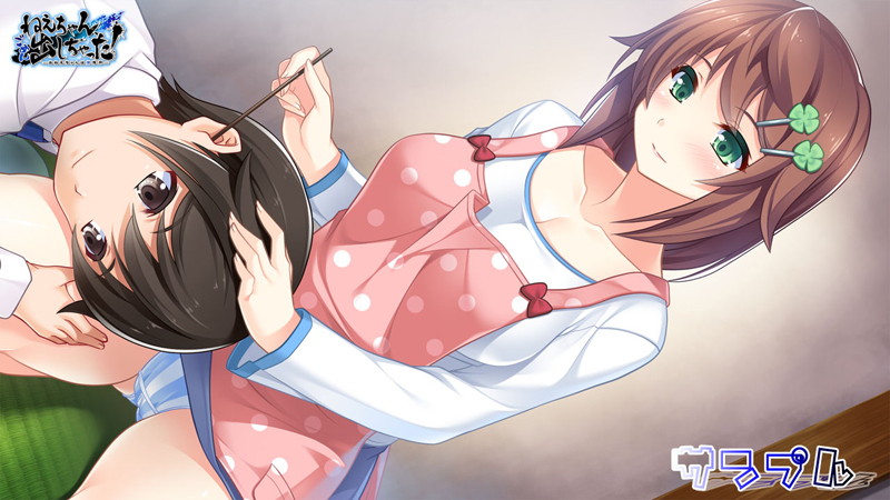 ねえちゃん、ごめん出しちゃった! 〜おねえちゃんは僕専用〜 画像1