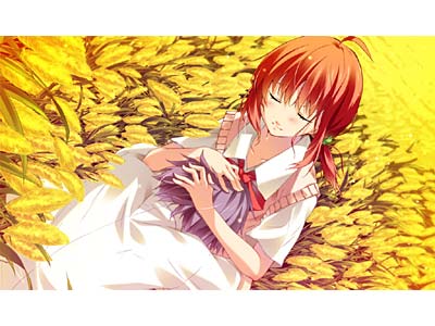 タペストリー-you will meet yourself- 初回版 画像7