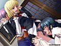 魔館の淫嬢 BestPrice版 画像13
