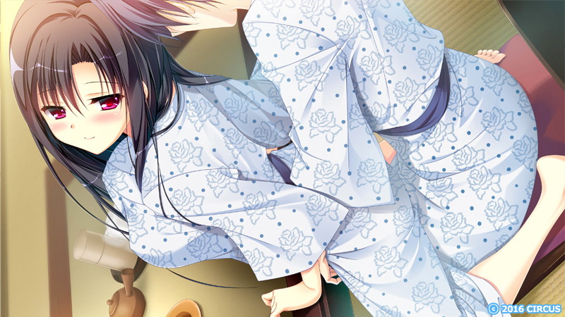 「D.S.-Dal Segno-」&「D.S.i.F.-Dal Segno- in Future」セット 画像11