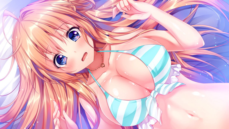 シロガネ×スピリッツ! 初回限定版 画像3