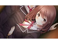フルキス まいにちフルキスセット 画像4