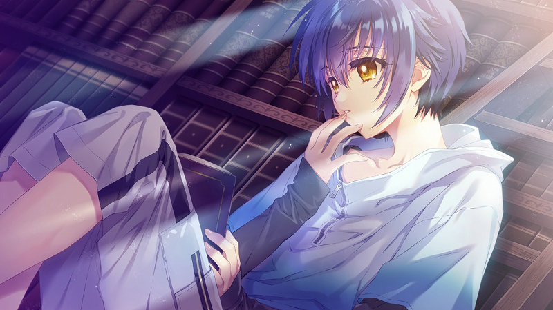 【FANZA限定】顔のない月-待宵の双椿- 初回限定版 オリジナルアクリルカード付き 画像5