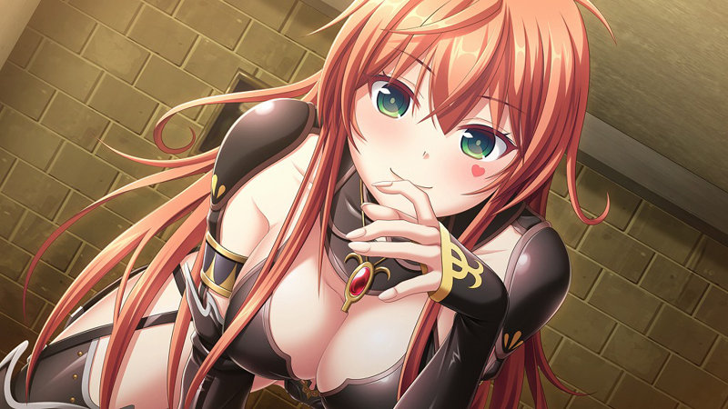 【FANZA限定】闇夜のPARENTE 幻燐の姫将軍Remastered 描き下ろしB2タペストリー（Wスエード）付き 画像3