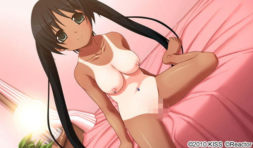 カスタムレイド4 SMセット キャンペーン版 画像3