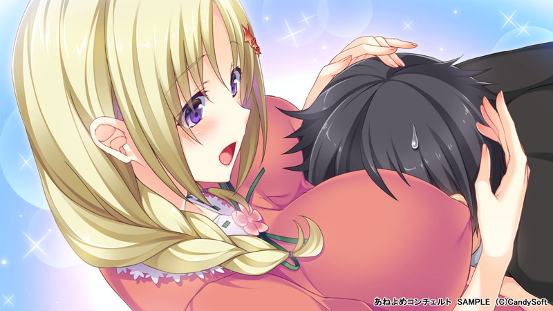【数量限定】あねよめコンチェルト 初回版 DMMオリジナルおっぱいマウスパッド付 画像1