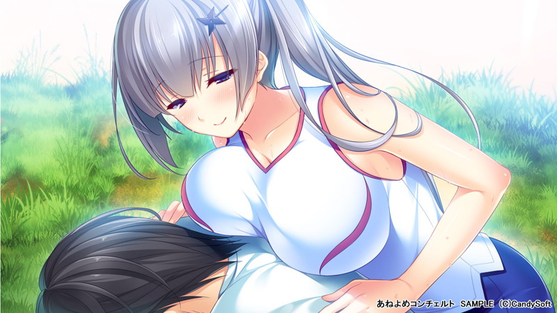 【数量限定】あねよめコンチェルト 初回版 DMMオリジナルおっぱいマウスパッド付 画像2