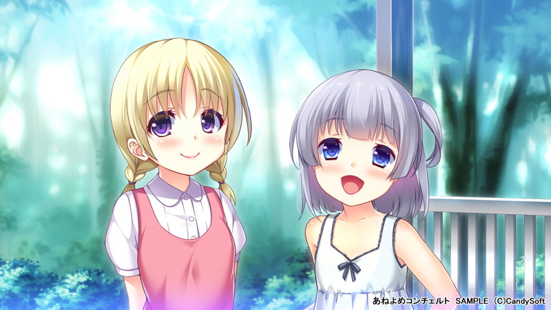 【数量限定】あねよめコンチェルト 初回版 DMMオリジナルおっぱいマウスパッド付 画像11
