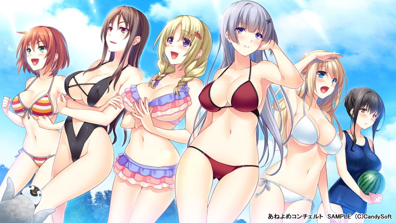 【数量限定】あねよめコンチェルト 初回版 DMMオリジナルおっぱいマウスパッド付 画像12