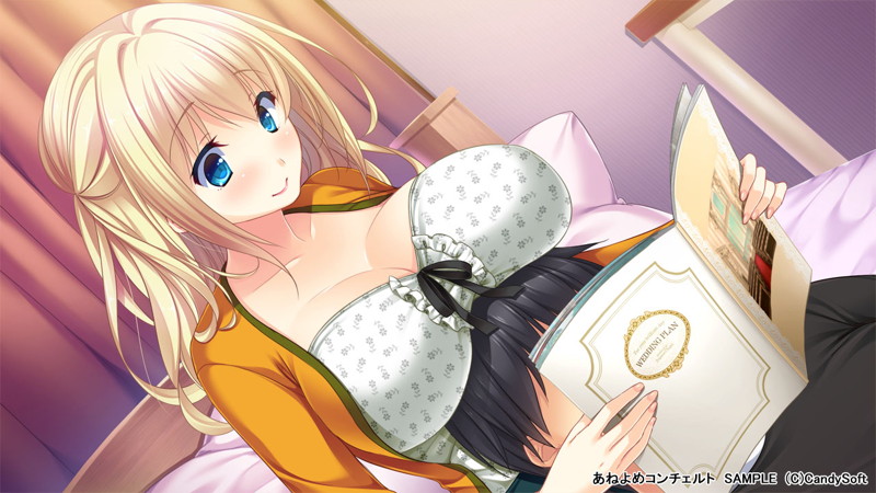 【数量限定】あねよめコンチェルト 初回版 DMMオリジナルおっぱいマウスパッド付 画像13