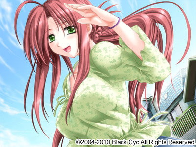 MinDeaD BlooD Complete Edition Windows8.1動作版 画像3
