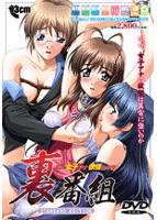 裏番組 新人女子アナ欲情生中継 〜Standard Edition〜のサムネイル画像