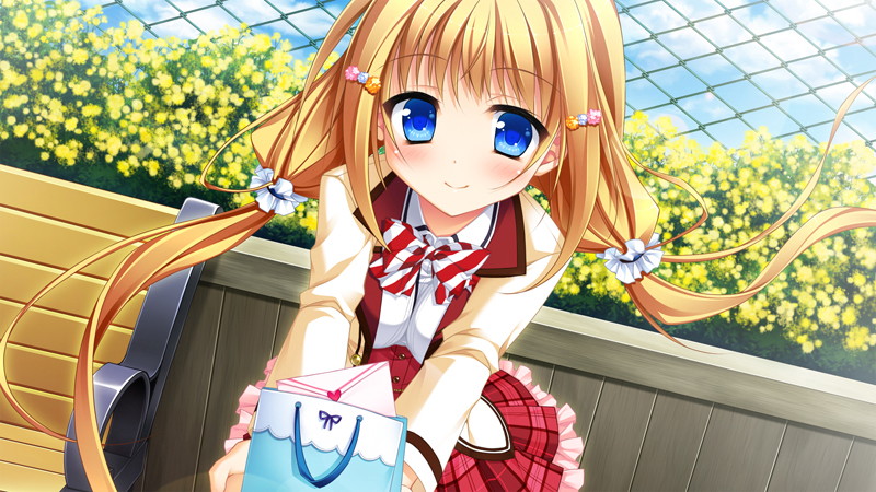 【数量限定】花咲ワークスプリング! DMMオリジナルクリアカード付 画像5