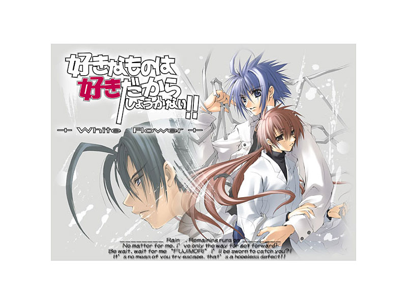 好きなものは好きだからしょうがない！！4-White Flower- Memorial Edition
