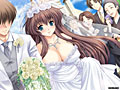 WEDDING BLUE 画像10