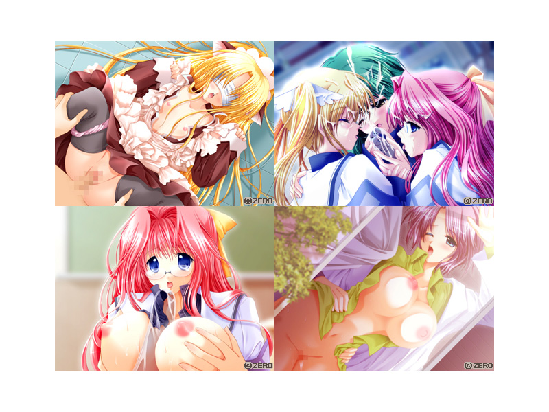 なりきりプリンセス 〜女になったボクを見て！〜 Standard Edition