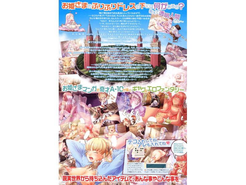 てこいれぷりんせす！ 〜僕が見えない君のため〜 限定版