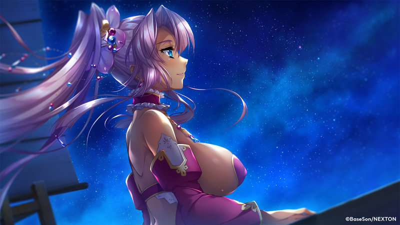 真・恋姫†英雄譚4 〜乙女耀乱☆三国志演義［呉］〜 豪華限定版 画像2