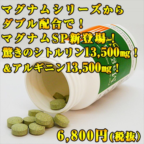 マグナムSP 画像2
