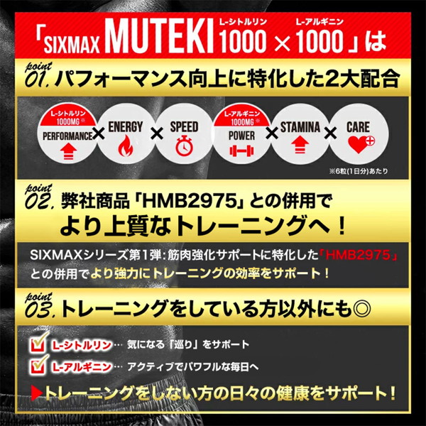 SIXMAX MUTEKI 画像3
