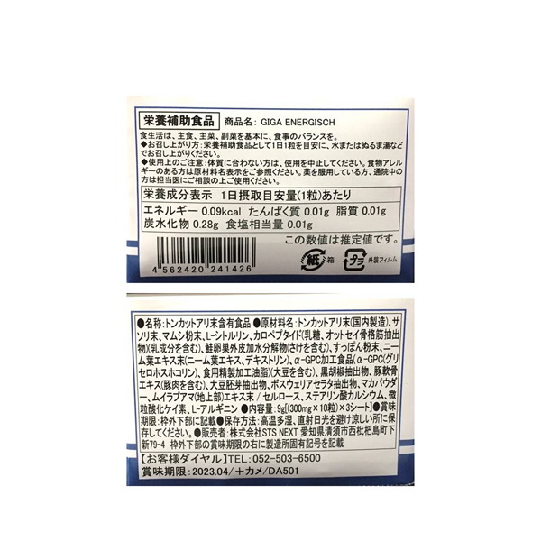 GIGA ENERGISCH 画像1