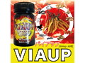 VIAUP （バイアップ） 画像5
