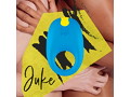 ROMP Juke 画像6