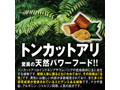SPEEDER10，000mg 画像8