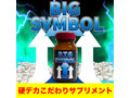 BIG SYMBOL 画像3