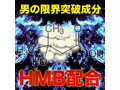 BIG SYMBOL 画像4