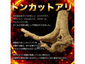 太芯勃発 画像4