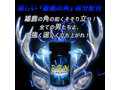 BBMバズビッグモンスター 画像4