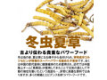 侍10個パック 画像3