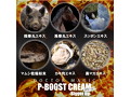 P-BOOSTクリーム-Bigger Up-（15ML07003） 画像6