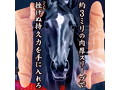 馬が如く 画像3