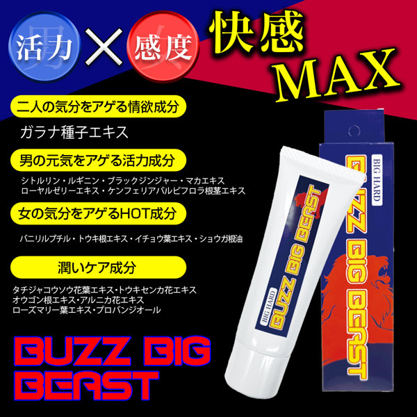 BuzzBigBeast 画像3