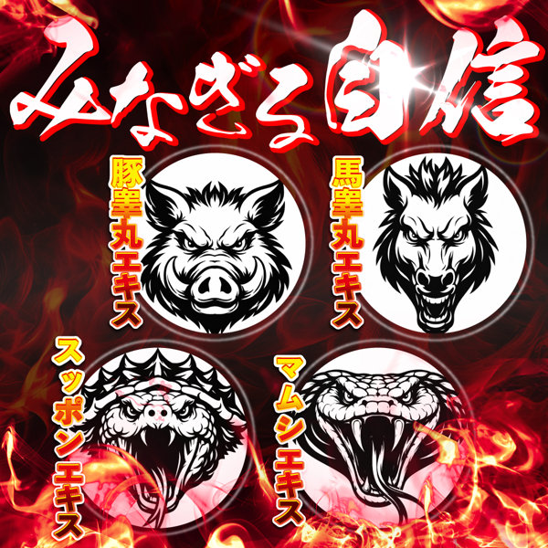 DOCTOR MAGIC P-Liftクリーム （15ML07019） 画像3