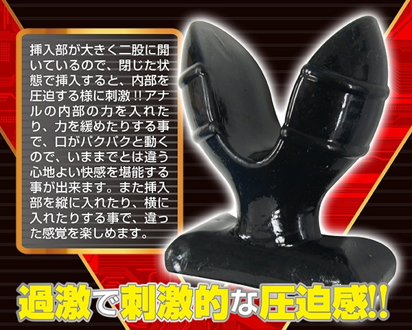 アナパッカーン 画像5