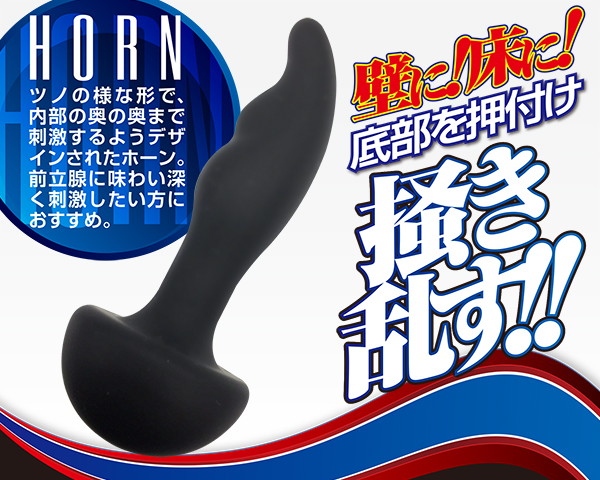 アナスピン ホーン 画像2