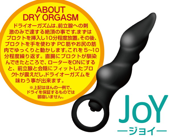 プロクトスティック ジョイ 画像2