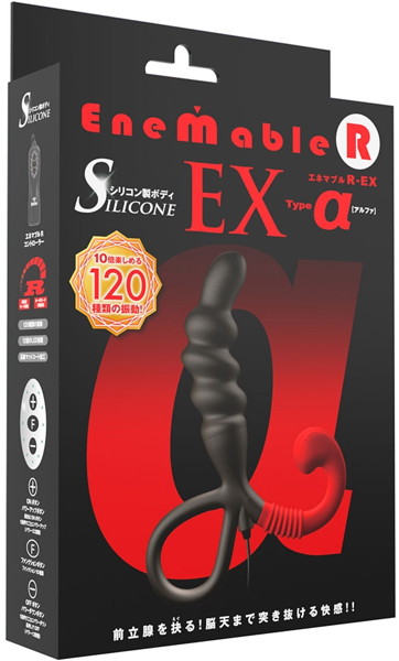 Enemable R EX Type-α 画像5