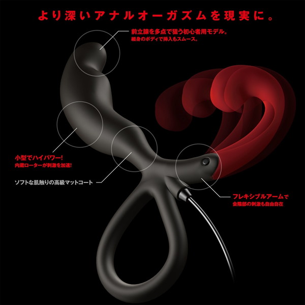 Enemable R Type-1 画像2