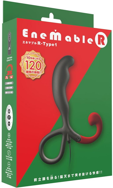 Enemable R Type-1 画像5