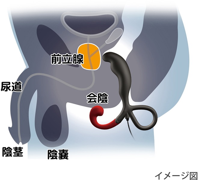 Enemable R Type-1 画像6