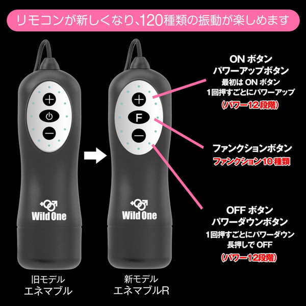 Enemable R Type-1 画像7