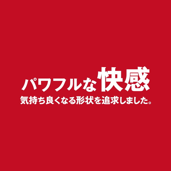 硬質プラグ 剛力 画像3
