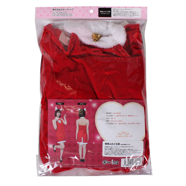 ネコ科ネコ目サンタ 画像7