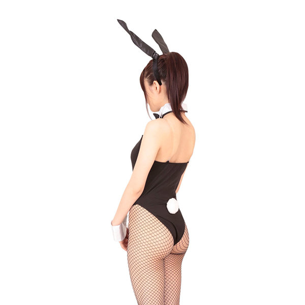 バニーガール2 (Lサイズ) 画像2