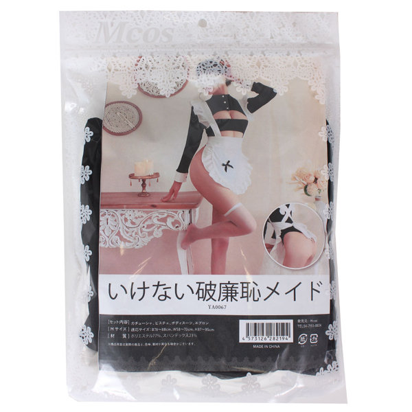 いけない破廉恥メイド(YA0067) 画像5
