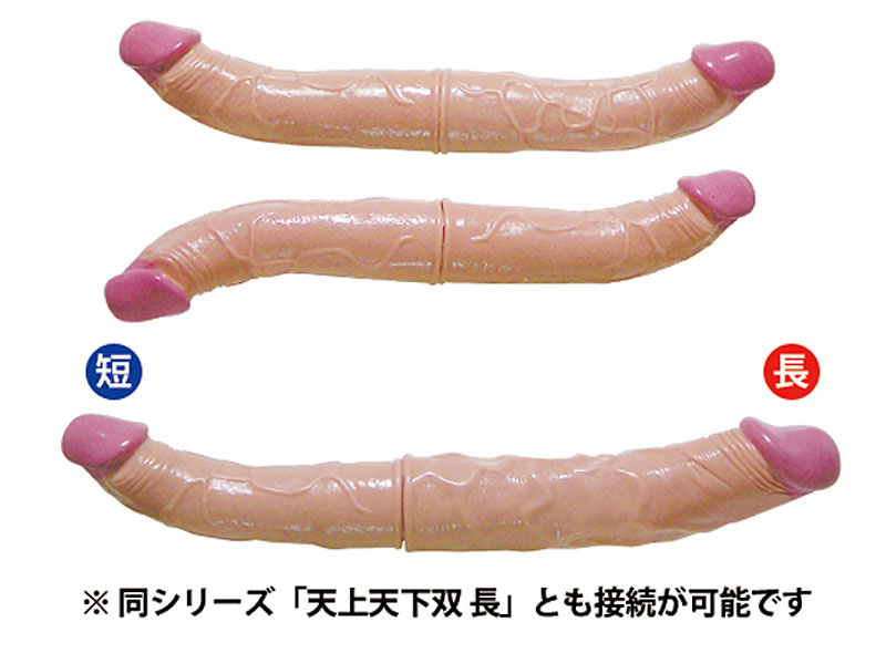 天上天下 双 【短】 画像3
